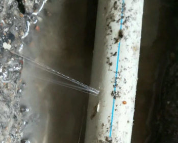 西青卫生间测漏水多少钱