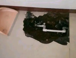 西青卫生间测漏水多少钱